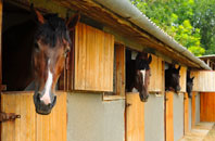 free Maes Llyn stable construction quotes
